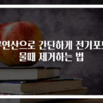 구연산으로 간단하게 전기포트 물때 제거하는 법
