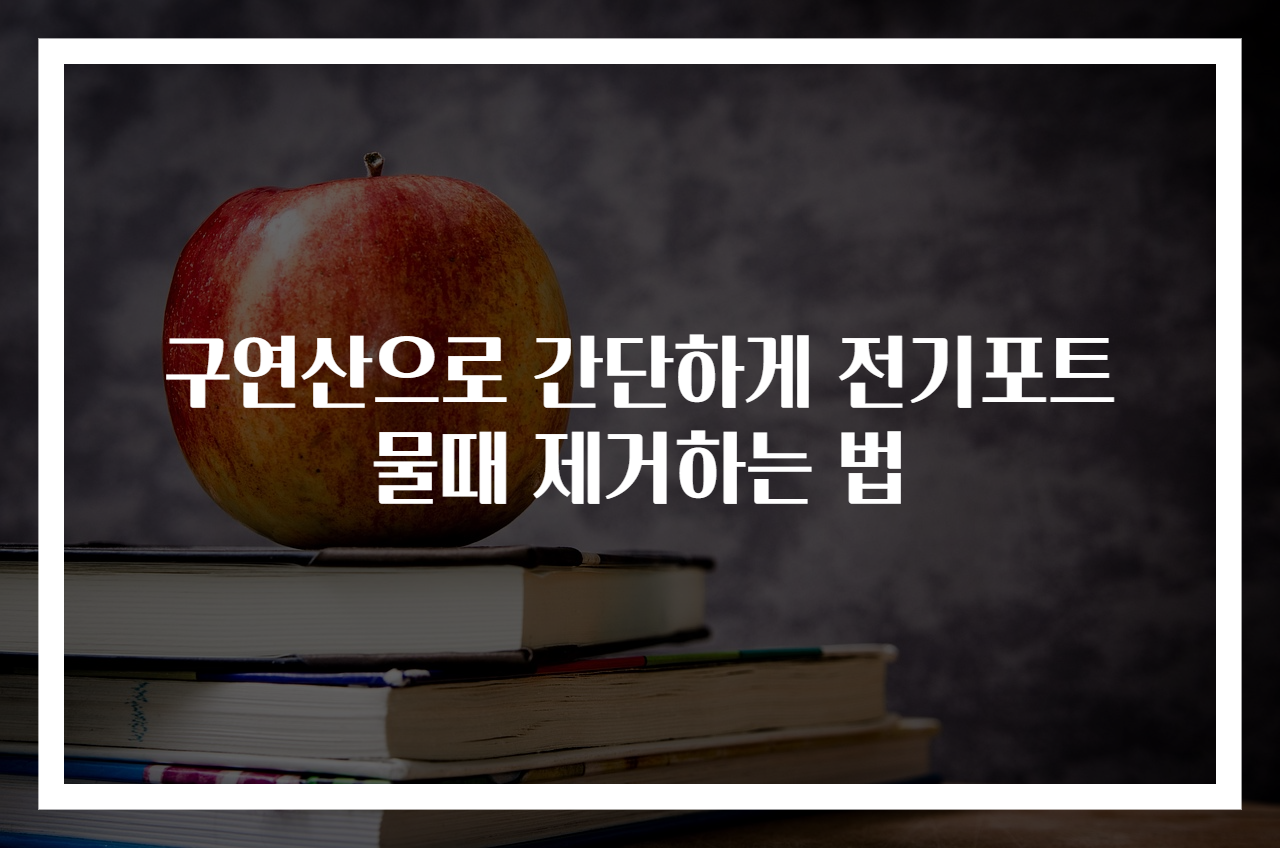구연산으로 간단하게 전기포트 물때 제거하는 법