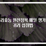 귀리효능 완전정복 매일 챙기는 귀리 섭취법