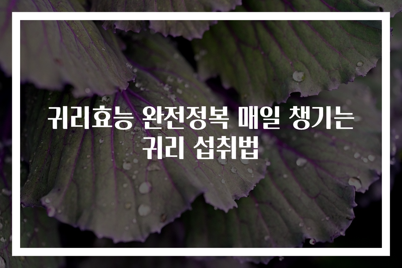 귀리효능 완전정복 매일 챙기는 귀리 섭취법