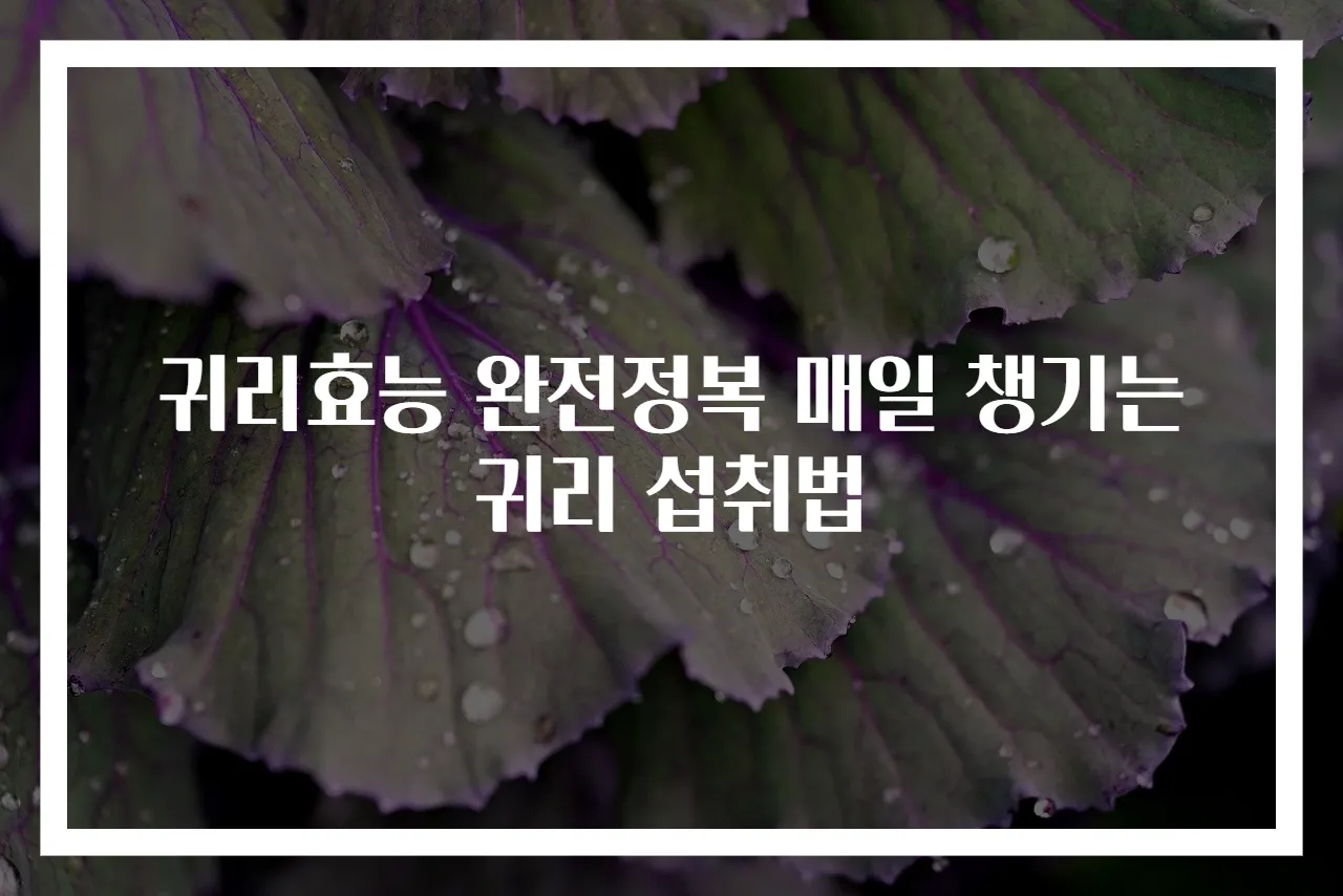 귀리효능 완전정복 매일 챙기는 귀리 섭취법