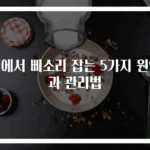 귀에서 삐소리 잡는 5가지 원인과 관리법