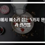 귀에서 삐소리 잡는 5가지 원인과 관리법