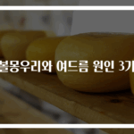 귓볼몽우리와 여드름 원인 3가지