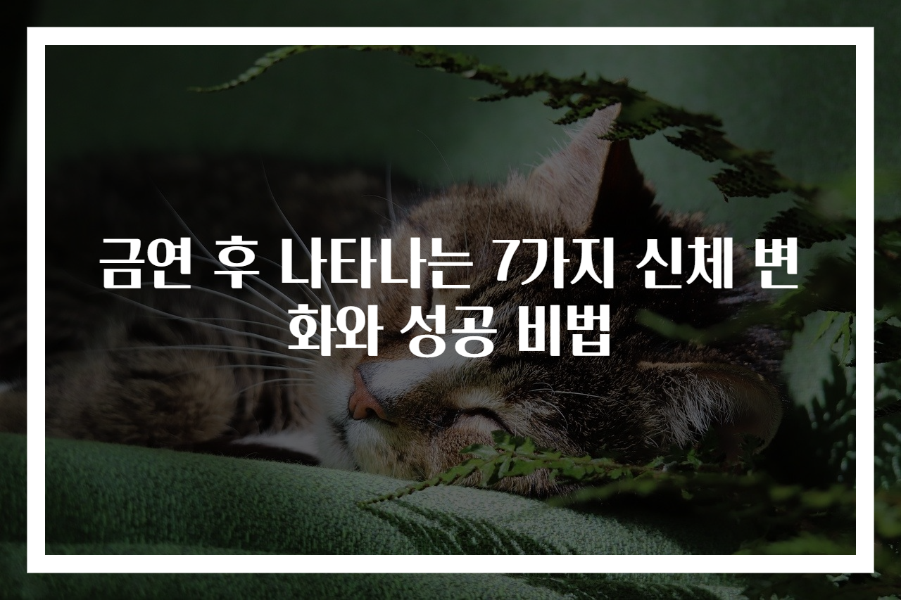 금연 후 나타나는 7가지 신체 변화와 성공 비법