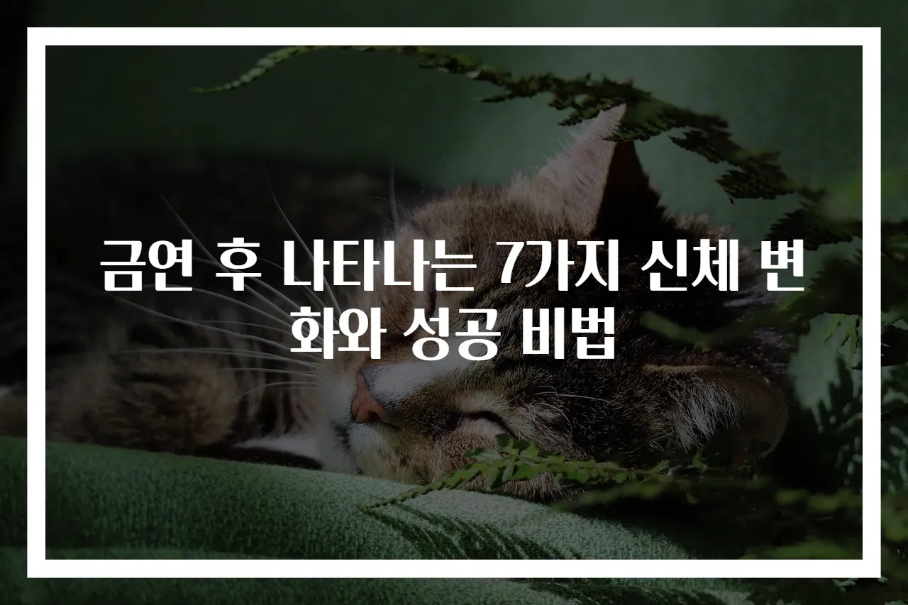 금연 후 나타나는 7가지 신체 변화와 성공 비법