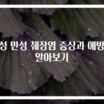 급성 만성 췌장염 증상과 예방법 알아보기