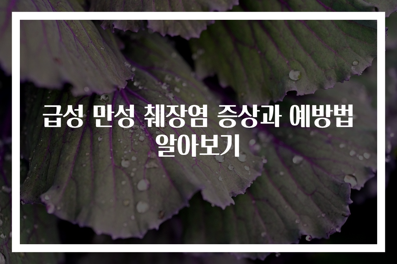 급성 만성 췌장염 증상과 예방법 알아보기