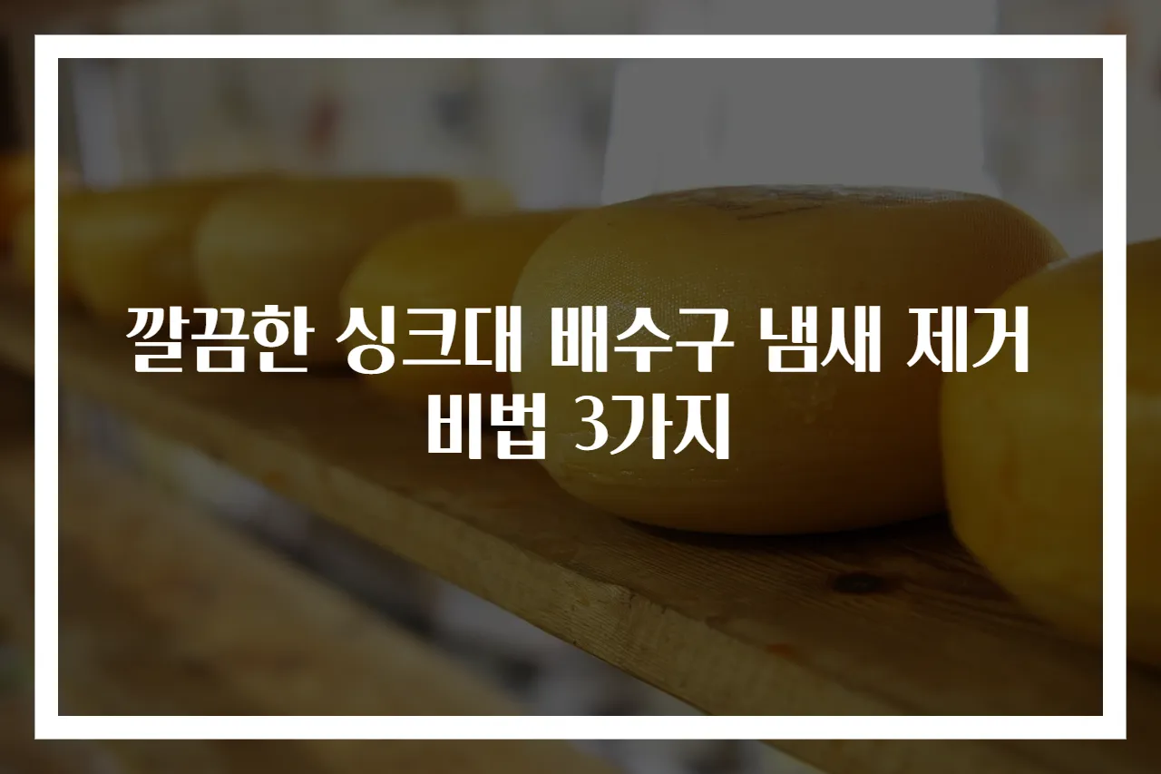 깔끔한 싱크대 배수구 냄새 제거 비법 3가지