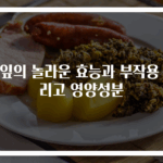 깻잎의 놀라운 효능과 부작용 그리고 영양성분