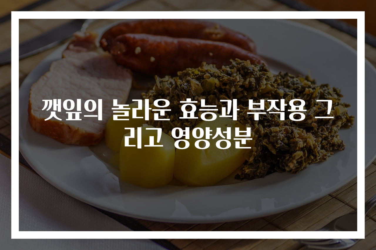 깻잎의 놀라운 효능과 부작용 그리고 영양성분