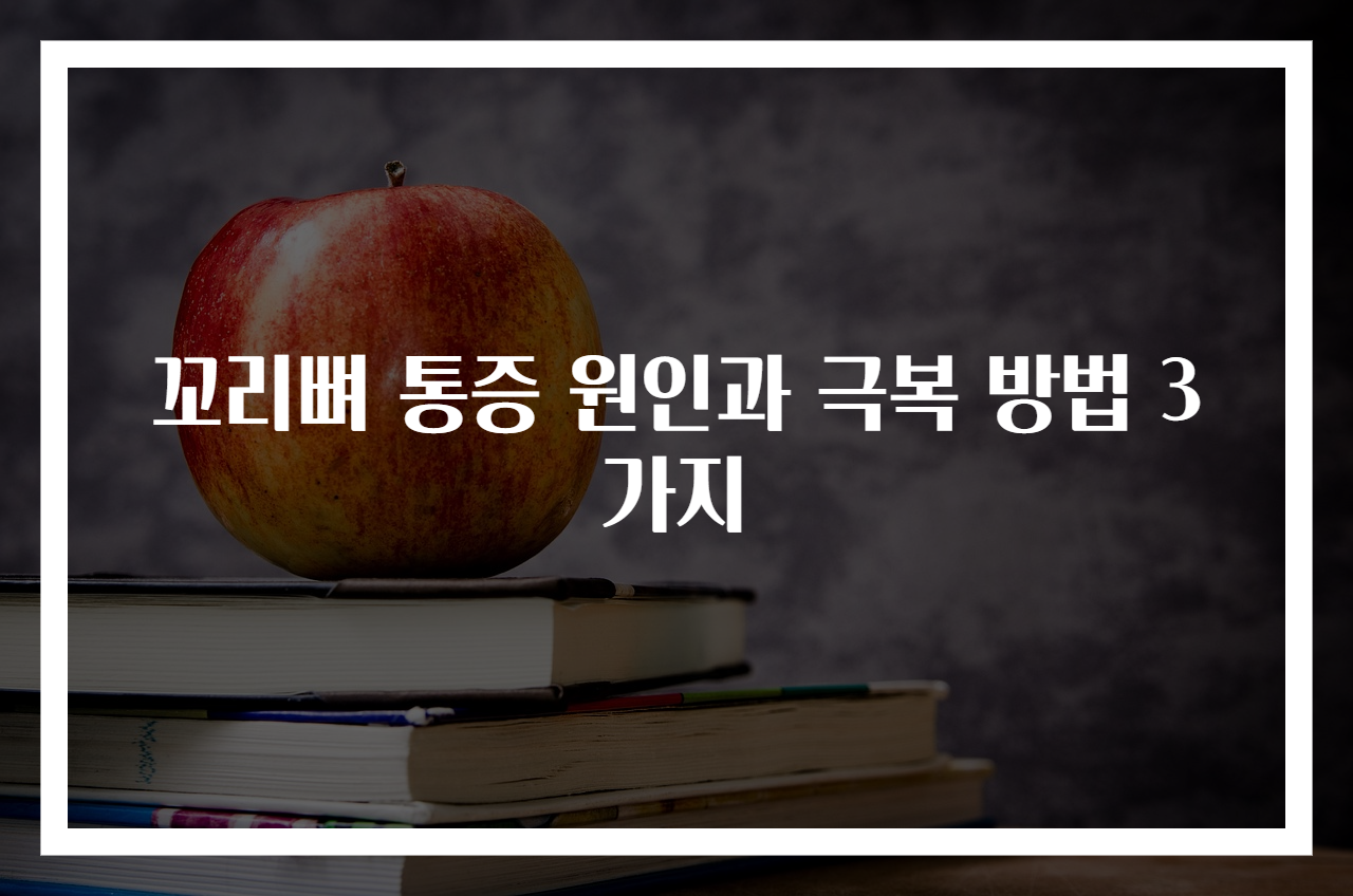 꼬리뼈 통증 원인과 극복 방법 3가지