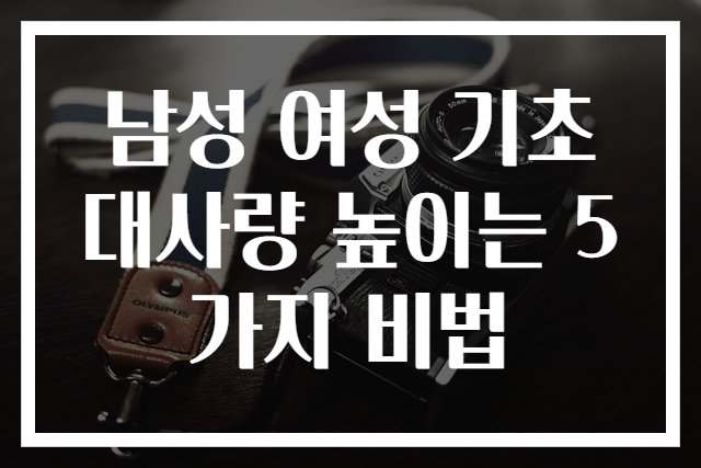 남성 여성 기초대사량 높이는 5가지 비법