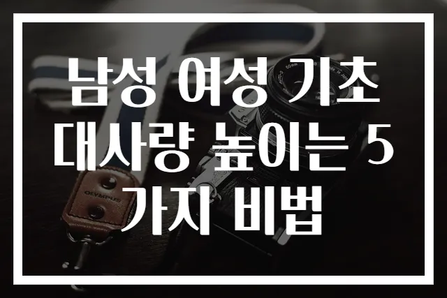 남성 여성 기초대사량 높이는 5가지 비법