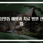 내성발톱 예방과 치료 병원 선택법