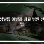 내성발톱 예방과 치료 병원 선택법