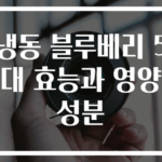 냉동 블루베리 5대 효능과 영양성분