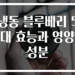 냉동 블루베리 5대 효능과 영양성분