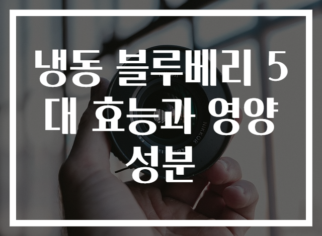 냉동 블루베리 5대 효능과 영양성분
