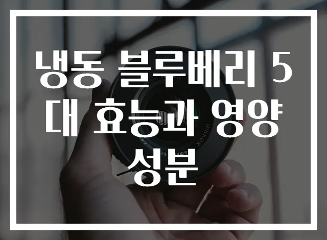 냉동 블루베리 5대 효능과 영양성분