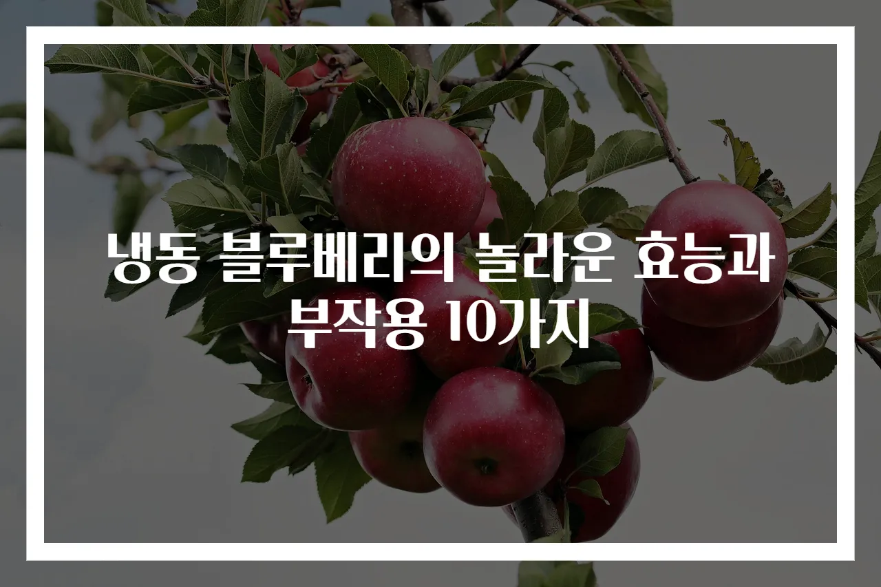냉동 블루베리의 놀라운 효능과 부작용 10가지