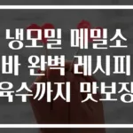냉모밀 메밀소바 완벽 레시피 육수까지 맛보장