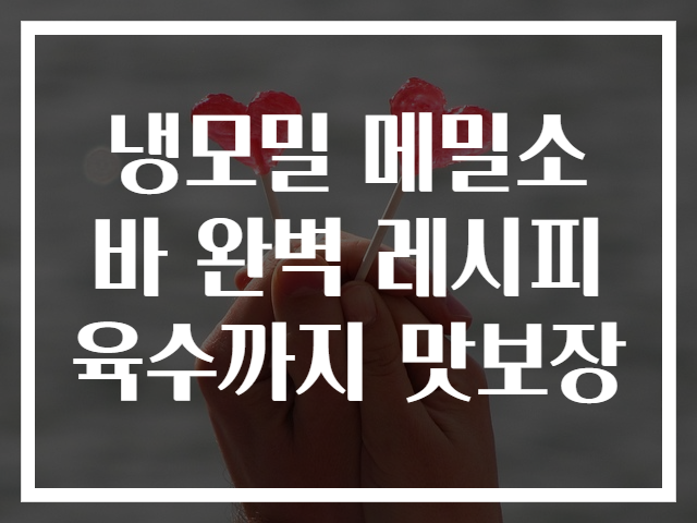 냉모밀 메밀소바 완벽 레시피 육수까지 맛보장