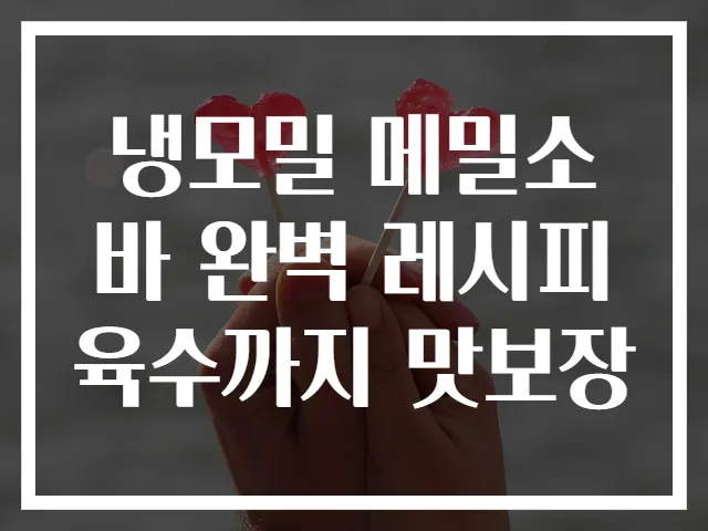 냉모밀 메밀소바 완벽 레시피 육수까지 맛보장