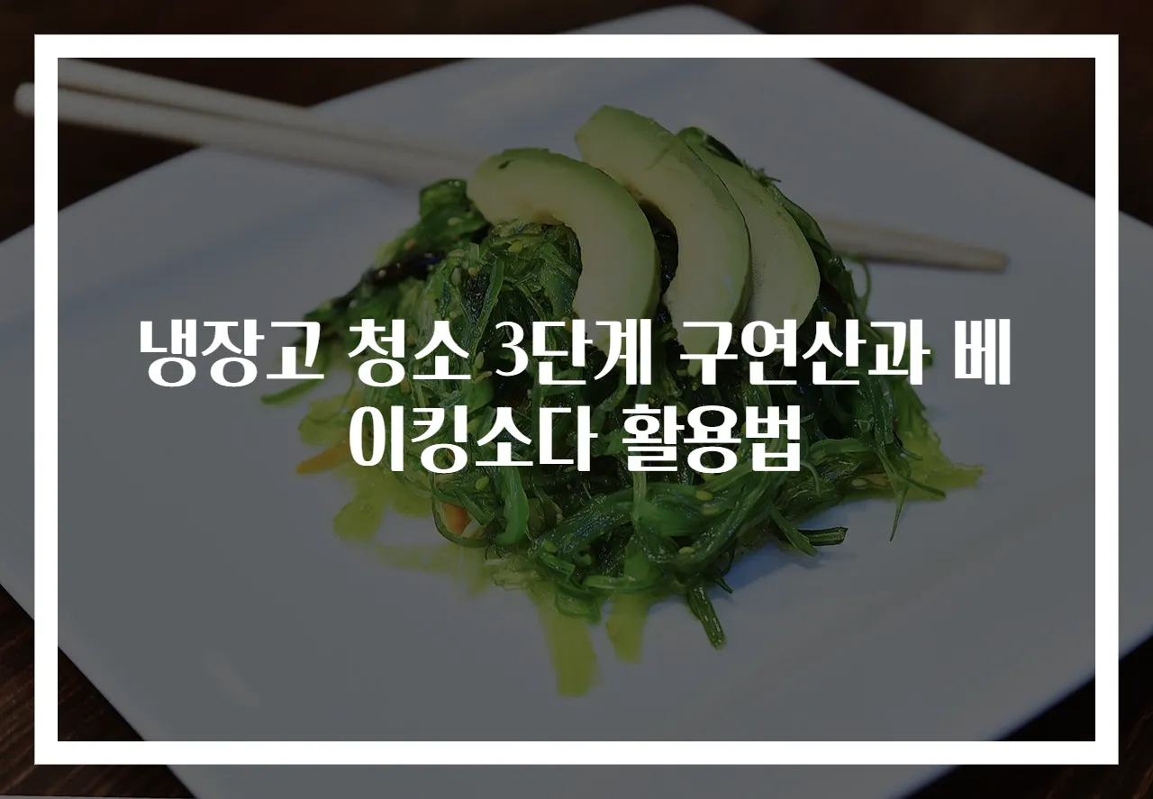 냉장고 청소 3단계 구연산과 베이킹소다 활용법
