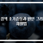 뇌경색 조기증상과 원인 그리고 재활법
