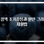 뇌경색 조기증상과 원인 그리고 재활법