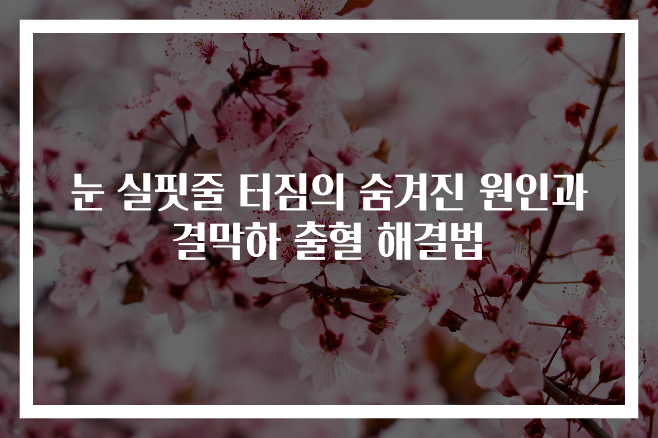 눈 실핏줄 터짐의 숨겨진 원인과 결막하 출혈 해결법