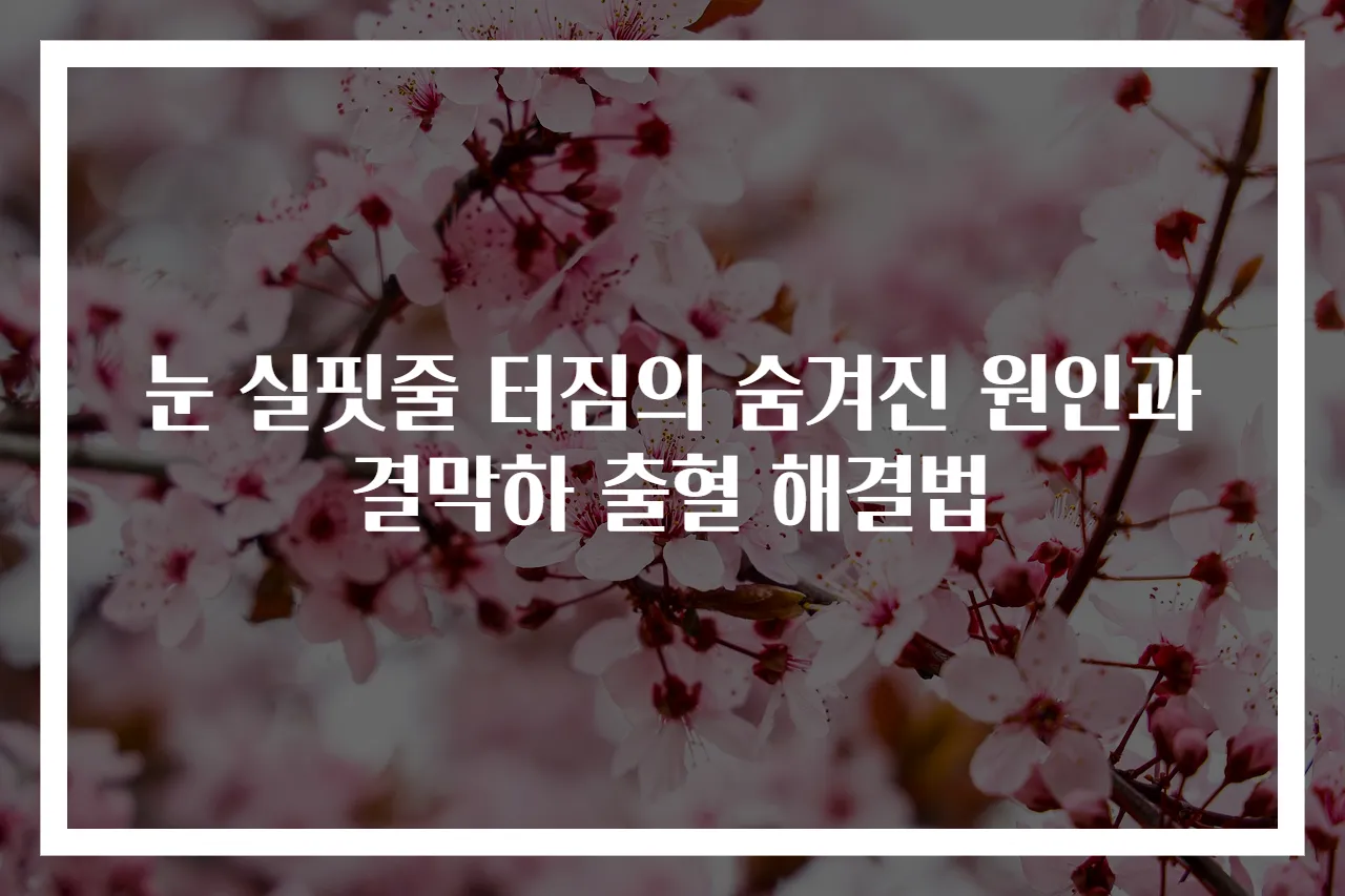눈 실핏줄 터짐의 숨겨진 원인과 결막하 출혈 해결법