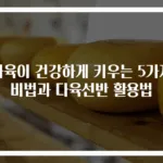 다육이 건강하게 키우는 5가지 비법과 다육선반 활용법
