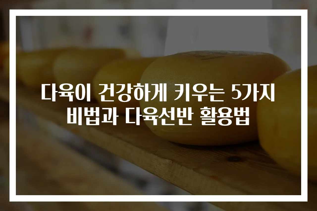 다육이 건강하게 키우는 5가지 비법과 다육선반 활용법