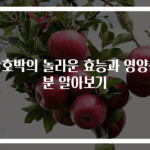 단호박의 놀라운 효능과 영양성분 알아보기