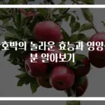단호박의 놀라운 효능과 영양성분 알아보기
