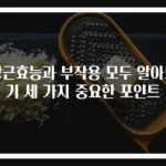 당근효능과 부작용 모두 알아보기 세 가지 중요한 포인트