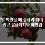 더위 먹었을 때 증상과 차이 그리고 응급처치와 예방법