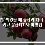 더위 먹었을 때 증상과 차이 그리고 응급처치와 예방법