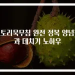 도토리묵무침 완전 정복 양념장과 데치기 노하우