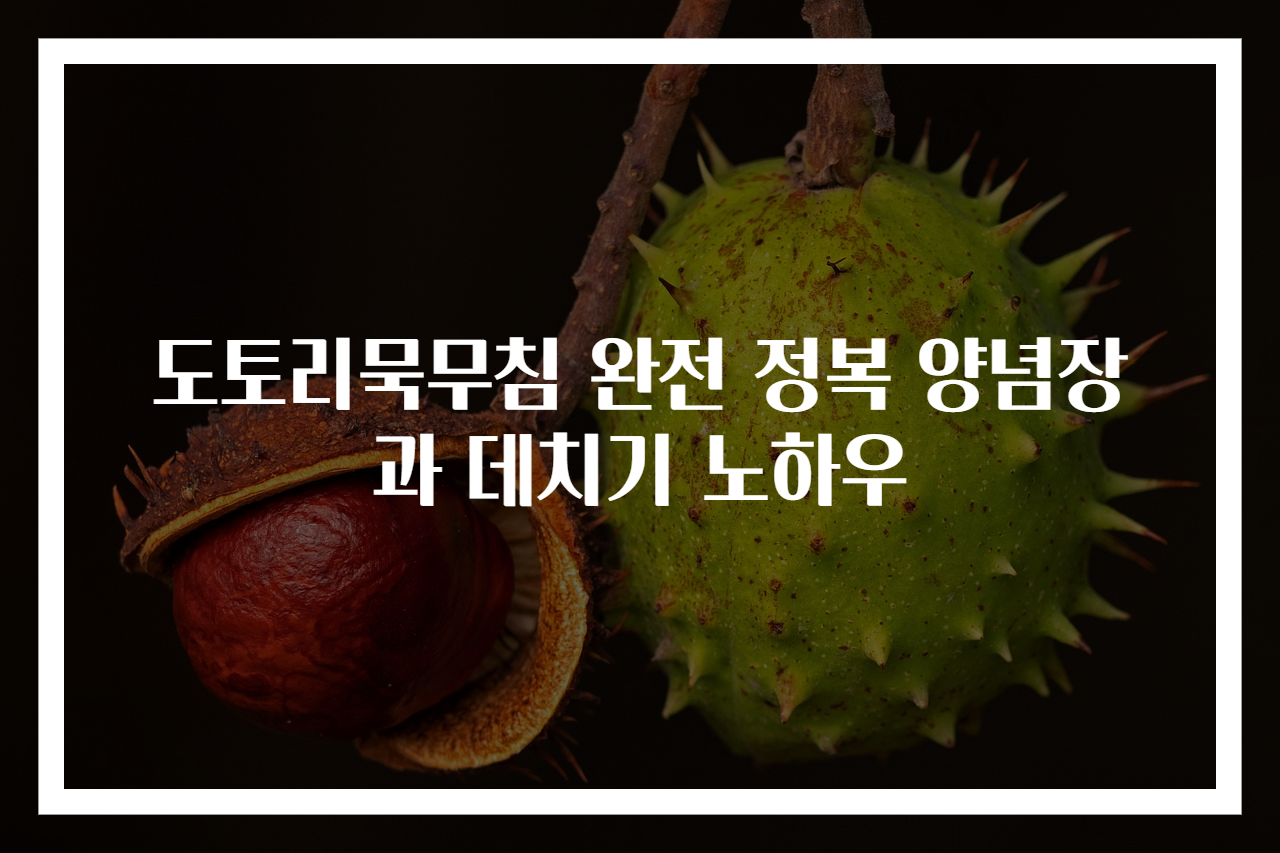 도토리묵무침 완전 정복 양념장과 데치기 노하우