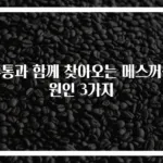 두통과 함께 찾아오는 메스꺼움 원인 3가지