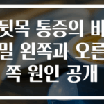 뒷목 통증의 비밀 왼쪽과 오른쪽 원인 공개