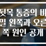 뒷목 통증의 비밀 왼쪽과 오른쪽 원인 공개
