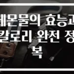 레몬물의 효능과 칼로리 완전 정복
