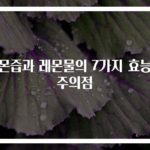 레몬즙과 레몬물의 7가지 효능과 주의점