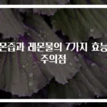 레몬즙과 레몬물의 7가지 효능과 주의점