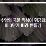 류수영의 국물 떡볶이 황금레시피 3단계 따라 만들기