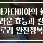 마카다미아의 놀라운 효능과 칼로리 완전정복